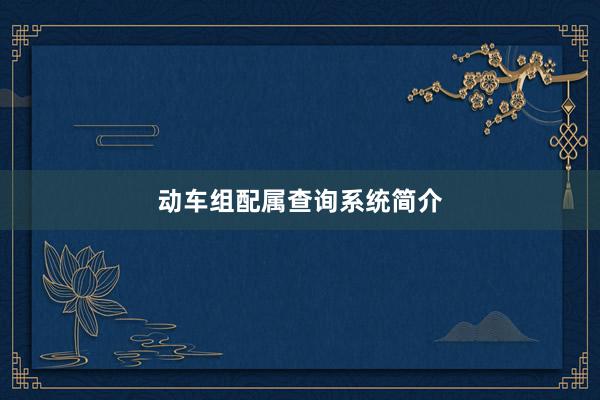 动车组配属查询系统简介