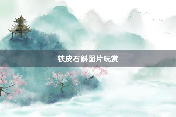 铁皮石斛图片玩赏