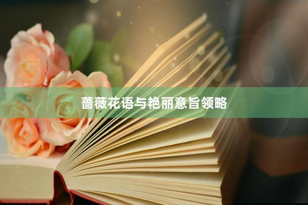 蔷薇花语与艳丽意旨领略
