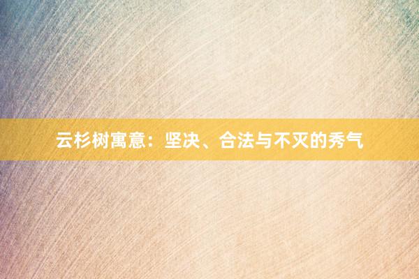 云杉树寓意：坚决、合法与不灭的秀气