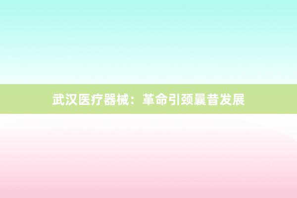 武汉医疗器械：革命引颈曩昔发展