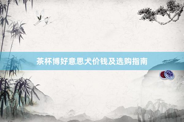 茶杯博好意思犬价钱及选购指南