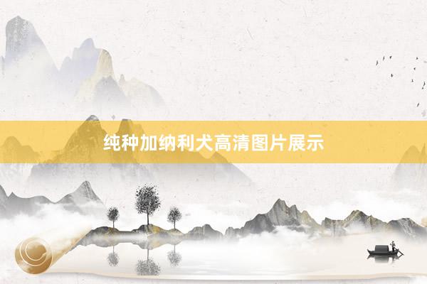 纯种加纳利犬高清图片展示