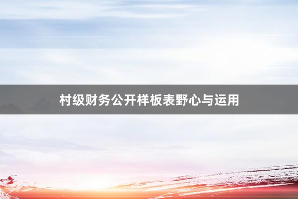 村级财务公开样板表野心与运用